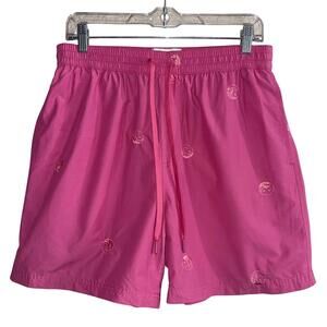 NWOT Urban Outfitters Embroidered Icon 5" Mens Nylon Shorts